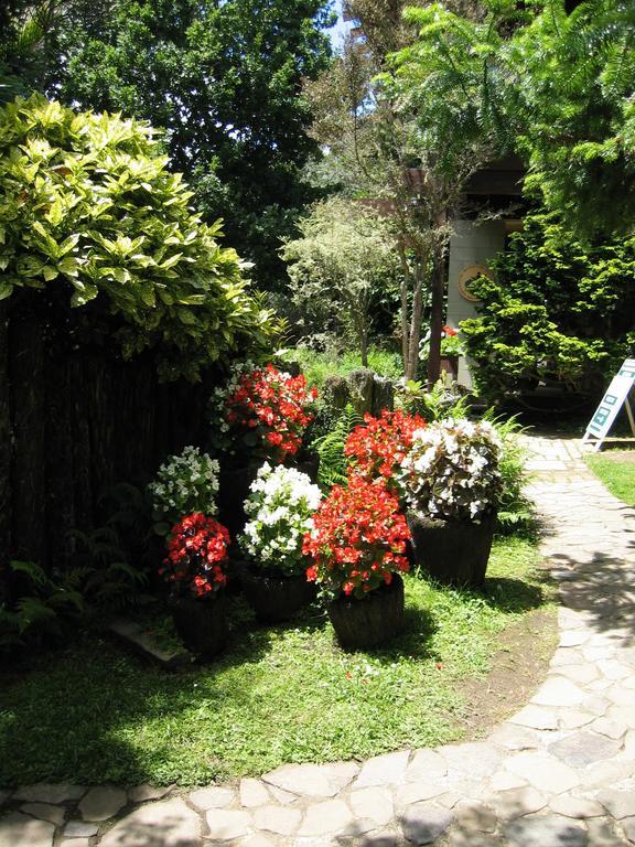 Bed and Breakfast Rapaura Watergardens Tapu Exterior foto