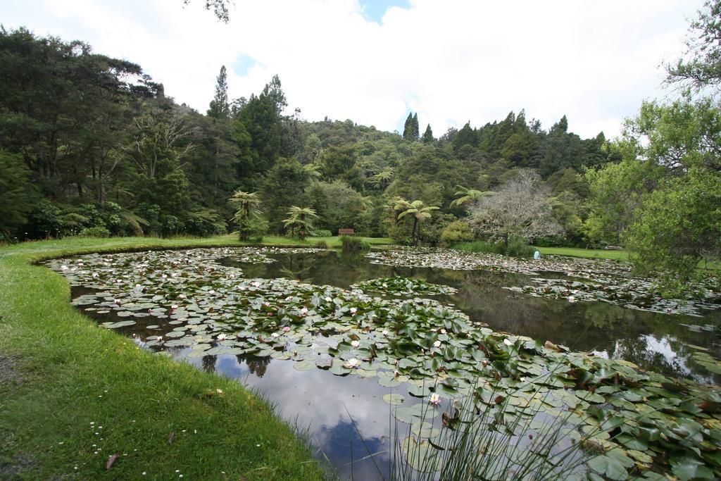 Bed and Breakfast Rapaura Watergardens Tapu Exterior foto