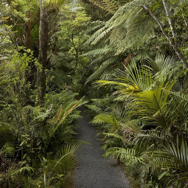 Bed and Breakfast Rapaura Watergardens Tapu Exterior foto